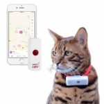 Traceur GPS chat - Weenect